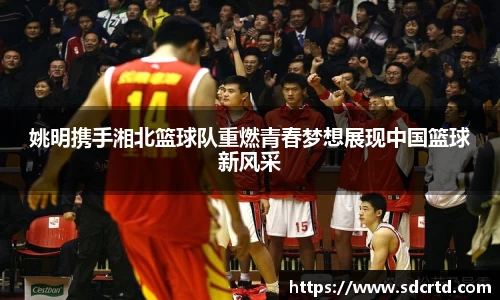 姚明携手湘北篮球队重燃青春梦想展现中国篮球新风采