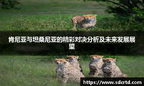 肯尼亚与坦桑尼亚的精彩对决分析及未来发展展望